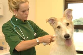 Scotland’s first new vet school for more than 150 years could provide the country with an economic boost.