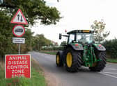 An avian flu “prevention zone” has been declared across Great Britain in the face of rising case numbers as the country battles the largest ever outbreak of the disease.
