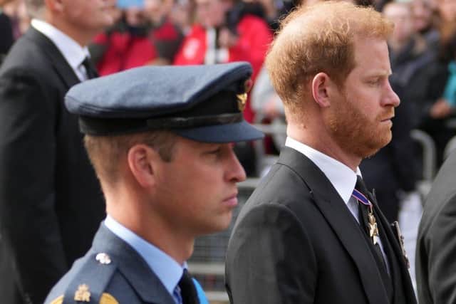 William, Prince of Wales and Prince Harry, Duke of Sussex take part in the state funeral and burial of Queen Elizabeth II at Westminster Abbey.