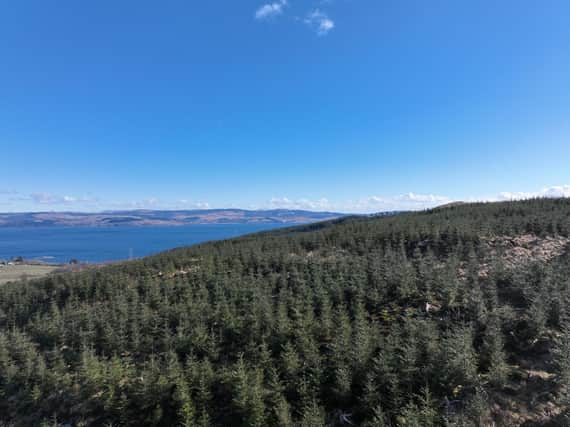 Inverneill Hill Forest, a compact, second-rotation commercial conifer forest, largely made up of Sitka spruce, and situation on the Mull of Kintyre peninsula is on the market for offers over £995,000.