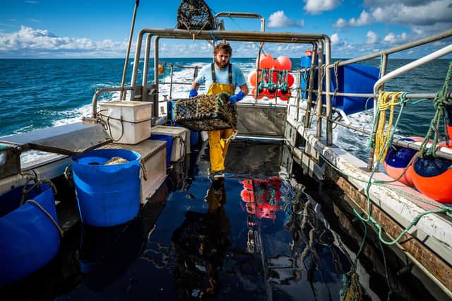 Human activity of most kinds is not allowed within highly protected marine areas (Picture: Ben Birchall/PA)