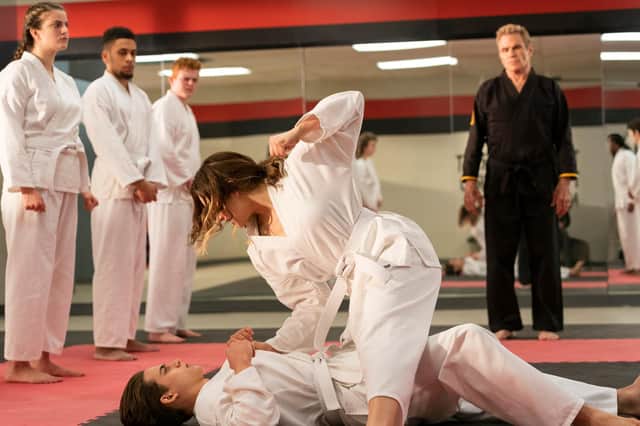 Cobra Kai, a sequel to the film The Karate Kid, avoids trend for modern remakes to deconstruct the original's heroes (icture: Curtis Bonds Baker/Netflix)