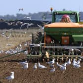 A reader wants to see a shift toward farming practices that restore, rather than exhaust, the land (Picture: Neil Hanna)