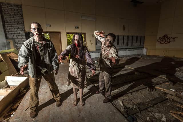 Do you have any zombie jokes up your sleeve? Image: Adobe /Vadim Borkin