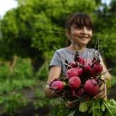 Where once many people grew their own food, now most people buy it from supermarkets (Picture: Marvin Recinos/AFP via Getty Images)