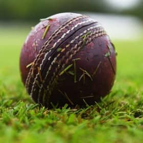 Cricket. Picture: SNS