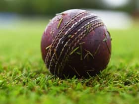 Cricket. Picture: SNS