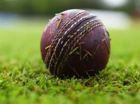 Cricket. Picture: SNS