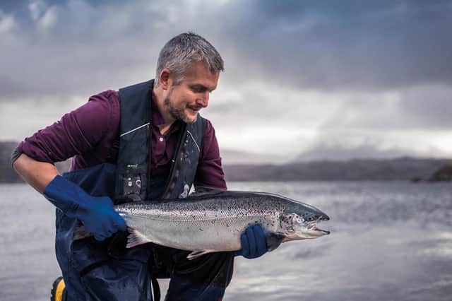 Wayne Davis, production controller, Loch Duart, inspecting a salmon. Loch Duart currently produces 6,000 tonnes of high quality salmon each year from its farms in Sutherland and the Outer Hebrides.