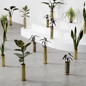 Untitled by Sammy Baloji - 41 copper shell casings (1914-1918 & 1939-1945), indoor plants, part of The Accursed Share at Talbot Rice PIC: Aurelien Mole
