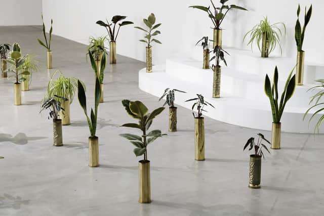 Untitled by Sammy Baloji - 41 copper shell casings (1914-1918 & 1939-1945), indoor plants, part of The Accursed Share at Talbot Rice PIC: Aurelien Mole