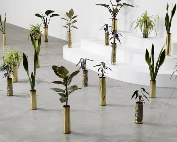 Untitled by Sammy Baloji - 41 copper shell casings (1914-1918 & 1939-1945), indoor plants, part of The Accursed Share at Talbot Rice PIC: Aurelien Mole