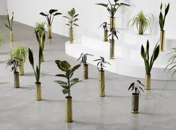 Untitled by Sammy Baloji - 41 copper shell casings (1914-1918 & 1939-1945), indoor plants, part of The Accursed Share at Talbot Rice PIC: Aurelien Mole