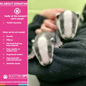 A Scottish charity has released a list of the weirdest donations it has received.