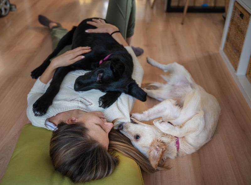 If your dog seems oddly calm when you leave (particularly when they are so keen to welcome you back) it's not because they don't care - it's because they trust you completely to come back. Why wouldn't you, when you have such a good boy or girl waiting for you at home?