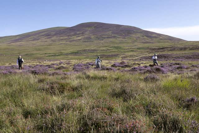 Rottal estate in the Angus Glens (pic: Graeme Hart/Perthshire Picture Agency)