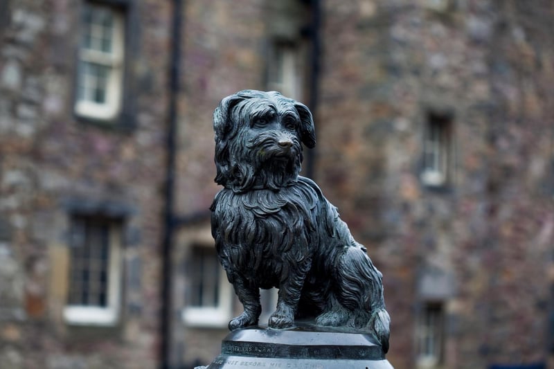 Edinburgh is the only city worldwide to have a dog on the list of citizens given the ‘Freedom of the City’. Of course, we’re referring to the famous Greyfriars Bobby, who is just one of five dog-related statues and memorials within walking distance from the city centre. In Edinburgh, dogs leave pawprints in our city and our hearts.