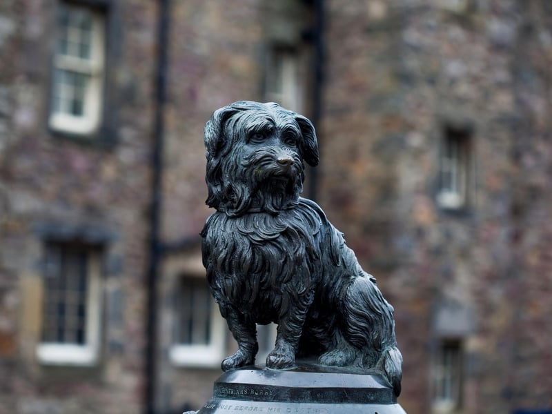 Edinburgh is the only city worldwide to have a dog on the list of citizens given the ‘Freedom of the City’. Of course, we’re referring to the famous Greyfriars Bobby, who is just one of five dog-related statues and memorials within walking distance from the city centre. In Edinburgh, dogs leave pawprints in our city and our hearts.