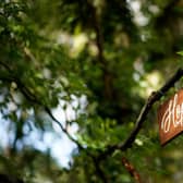 Inspirational quotes and words, such as this plaques around the garden of Strawberry Field, can help lift your mood on Blue Monday. (Pic: Getty Images)