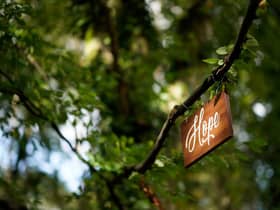 Inspirational quotes and words, such as this plaques around the garden of Strawberry Field, can help lift your mood on Blue Monday. (Pic: Getty Images)