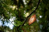 Inspirational quotes and words, such as this plaques around the garden of Strawberry Field, can help lift your mood on Blue Monday. (Pic: Getty Images)