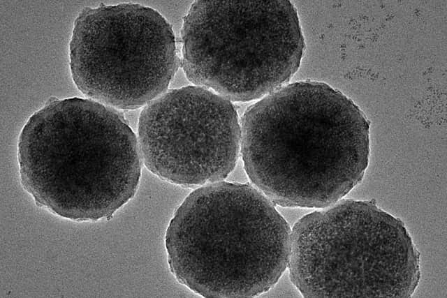 Engineered magnetic nanorobots about 300nm in diameter created to treat bleeds in the brain caused by aneurysms. Picture: Jian Wu/PA Wire