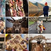 The Scottish Instagram accounts we think you'll love