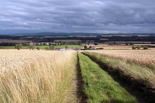 Rural affairs secretary Mairi Gougeon says there will be "no cliff edges" when it comes to financial support for farmers in Scotland (pic: PA)