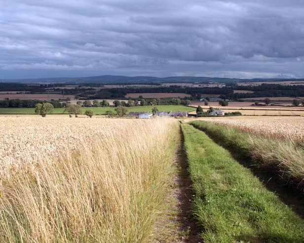 Rural affairs secretary Mairi Gougeon says there will be "no cliff edges" when it comes to financial support for farmers in Scotland (pic: PA)