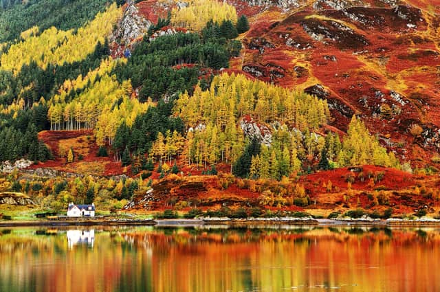 Productive forests can make a significant contribution to environmental targets, simultaneously soaking up greenhouse gas emissions and supporting biodiversity