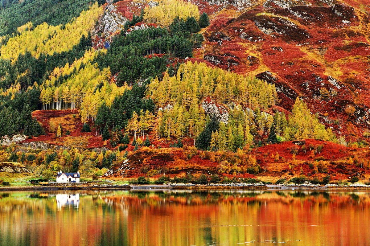 Why Scotland and the UK has so many fewer trees than the rest of Europe &#8211; and what can be done about it
