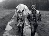 Gareth Steel
