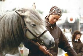Sheila Brooks served as president of the Highland Pony Society in 2001-02