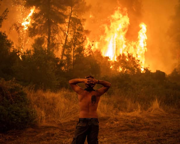 As wildfires and other symptoms of global warming become an increasing problem, the next international summit on the issue, COP28, will be run by an oil industry executive (Picture: Angelos Tzortzinis/AFP via Getty Images)