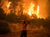 As wildfires and other symptoms of global warming become an increasing problem, the next international summit on the issue, COP28, will be run by an oil industry executive (Picture: Angelos Tzortzinis/AFP via Getty Images)