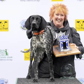 Woof...there can be only one top dog at Holyrood and this year's winner is Christine Grahame MSP's German shorthaired pointer Mabel