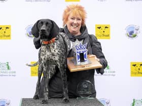 Woof...there can be only one top dog at Holyrood and this year's winner is Christine Grahame MSP's German shorthaired pointer Mabel