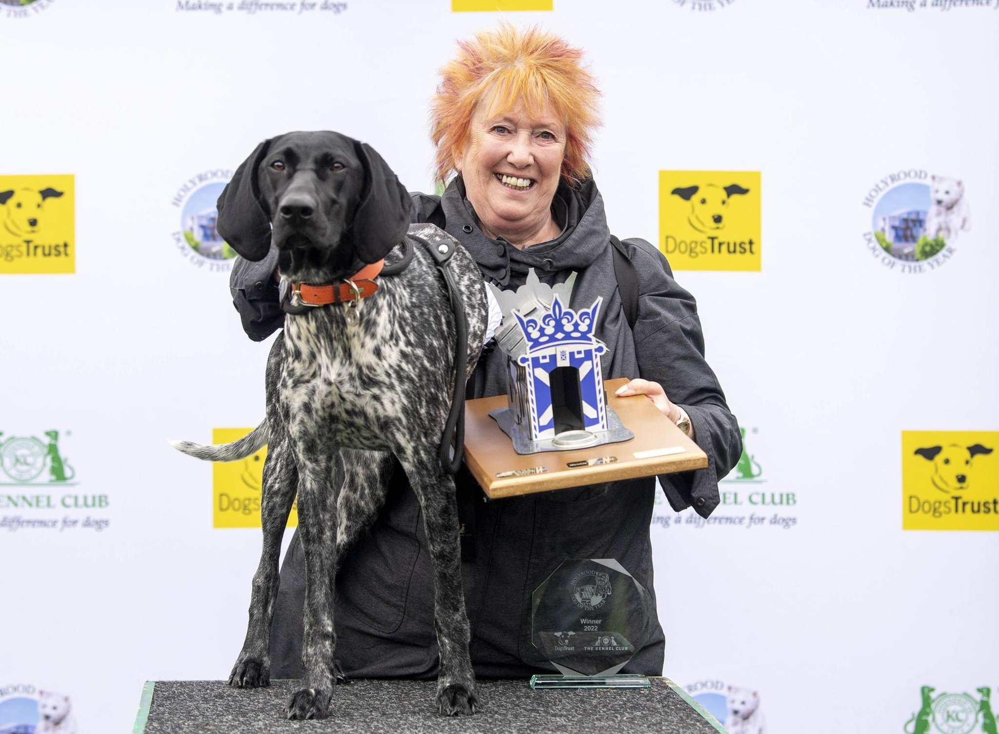 German shorthaired pointer Mabel sees off the opposition to be named Holyrood's top dog
