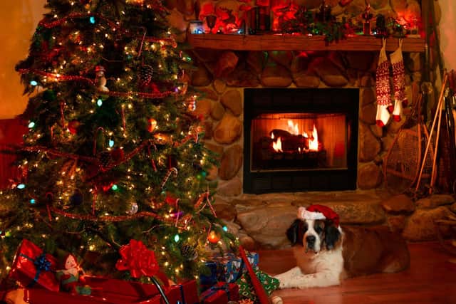 A few simple tips can make sure your pets have a very merry Christmas.