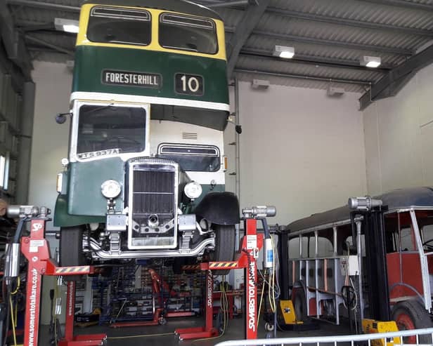 See bus preservation in progress, some just begun, some nearly finished