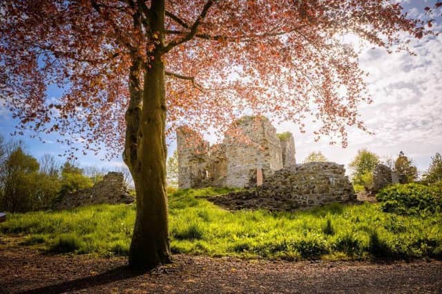 Follow in the footsteps of kings, take a walk on the wild side or do some fun sports – find all this and more in Fife this summer