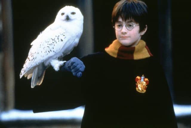 Harry Potter with owl