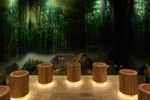 The Forest Glade experience in the spa at Center Parcs,  Longleat Forest, Wiltshire.