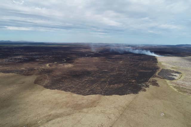 A wildfire burns on the Forsinard Flows national nature reserve in May 2019 (Picture: Paul Turner, RSPB)