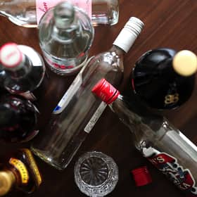 Plant extracts could hold the key to curing hangovers, research suggests.