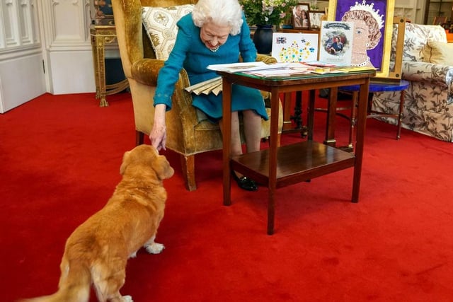 While it isn't known exactly how many dogs the Queen has owned over the years, it's been established that there have been more than thirty since she took the throne in 1952.