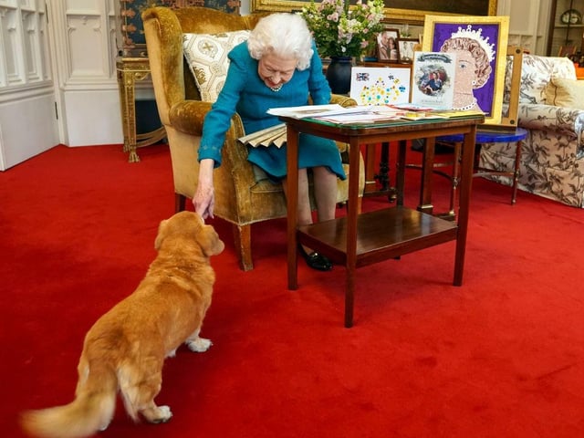 While it isn't known exactly how many dogs the Queen has owned over the years, it's been established that there have been more than thirty since she took the throne in 1952.