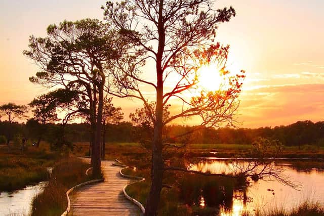 The 2024 winning path
