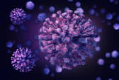 A new strain of Covid-19 has been identified in the UK (Shutterstock)