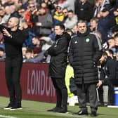 Hearts manager Robbie Neilson gives instructions during the match against Celtic.